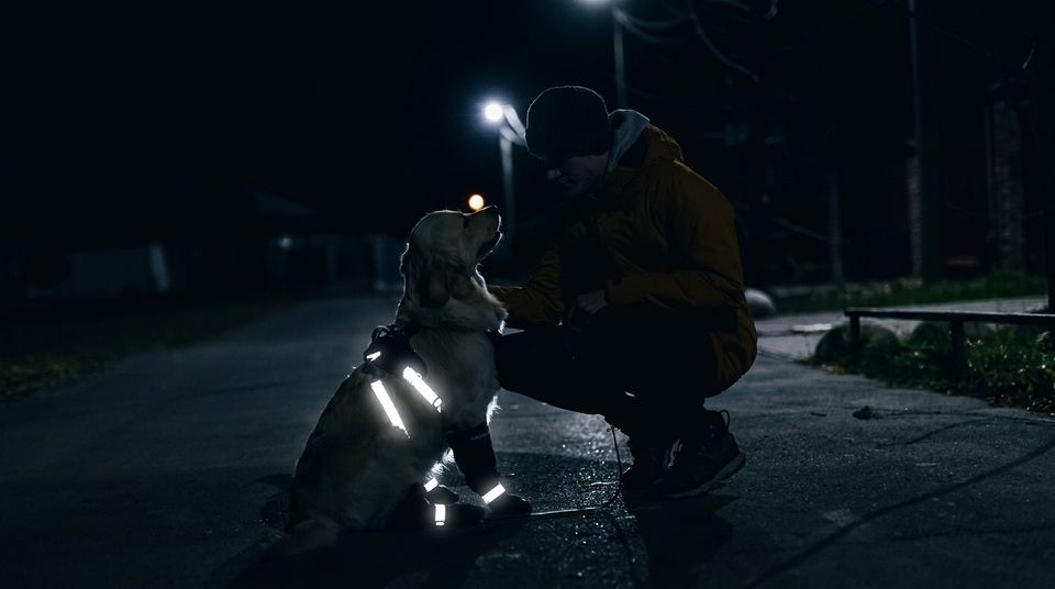 Owner crouching with their dog on a dark street at night — the TundraLegs reflective straps glowing bright white
